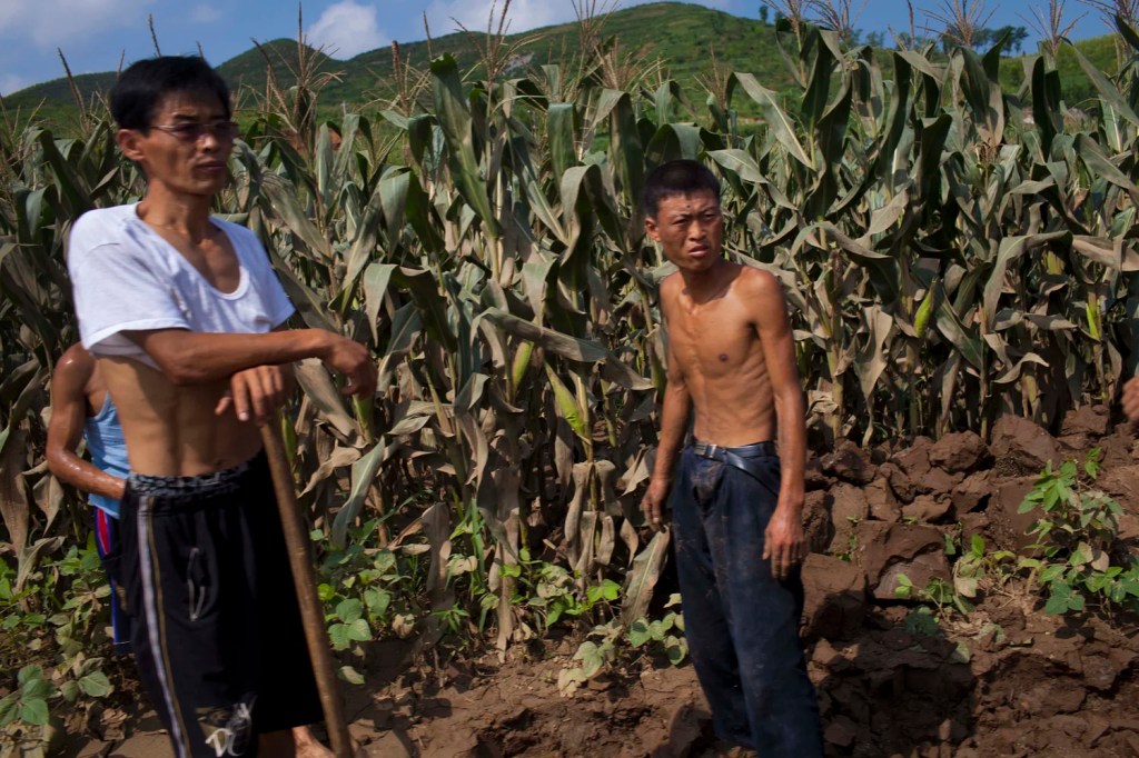 Deux hommes travaillant aux champs