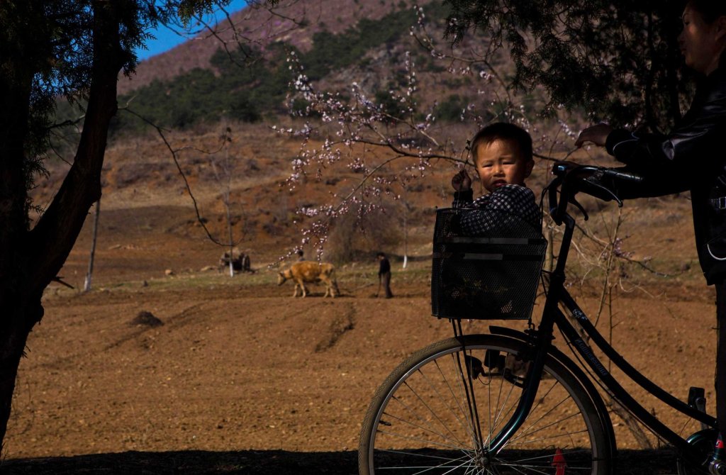 Un bébé dans un panier à vélo. Kaesong, Corée du Nord