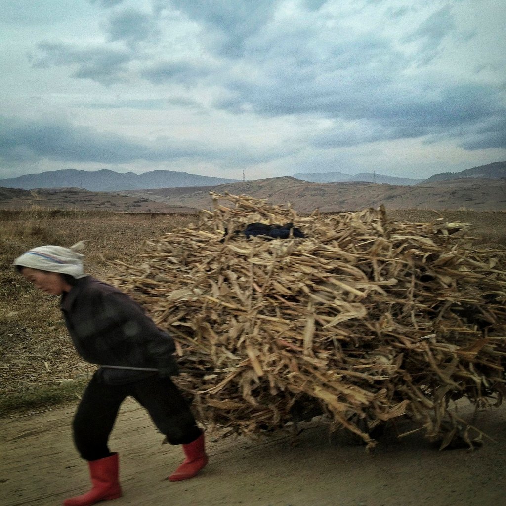 une femme nord coréenne tire un chariot sur une route rurale du nord est de la Corée du Nord en 2013