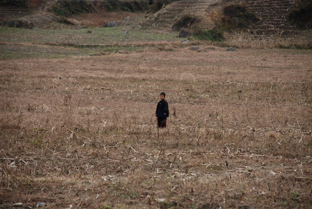 Un enfant seul dans un champ en jachère