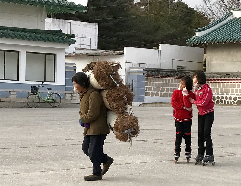 Une femme nord-coréenne porte un lourd chargement sur son dos, ville de Kaesong